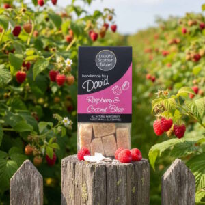 Handmade Raspberry and Coconut Scottish Tablet 140g bag – Tart Fruit with Sweet Desiccated Coconut and Gluten-Free
